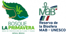 BLP-MAB-logos.png